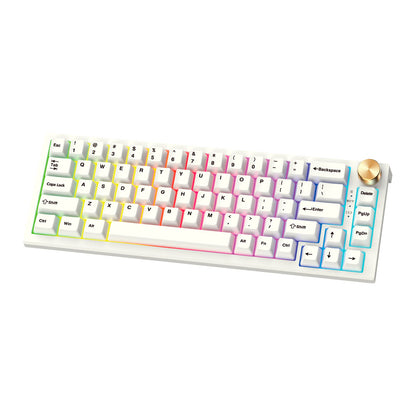 Teclado FANTECH MK858 MAXFIT67 Wireless RGB Mechanical Keyboard with Brown Switch & USA Layout